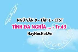 Soạn bài Tính đa nghĩa trong bài thơ Bánh trôi nước trang 43 Ngữ Văn lớp 9 tập 1 Chân trời sáng tạo